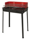 Barbecue a carbone da campeggio 50x35 Picnic Amigo