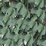 Siepe sintetica estensibile in bamboo frangivista 200x100h cm
